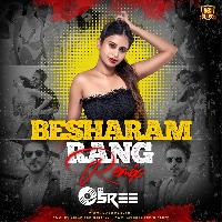 Besharam Rang (Remix) - DJ Sree